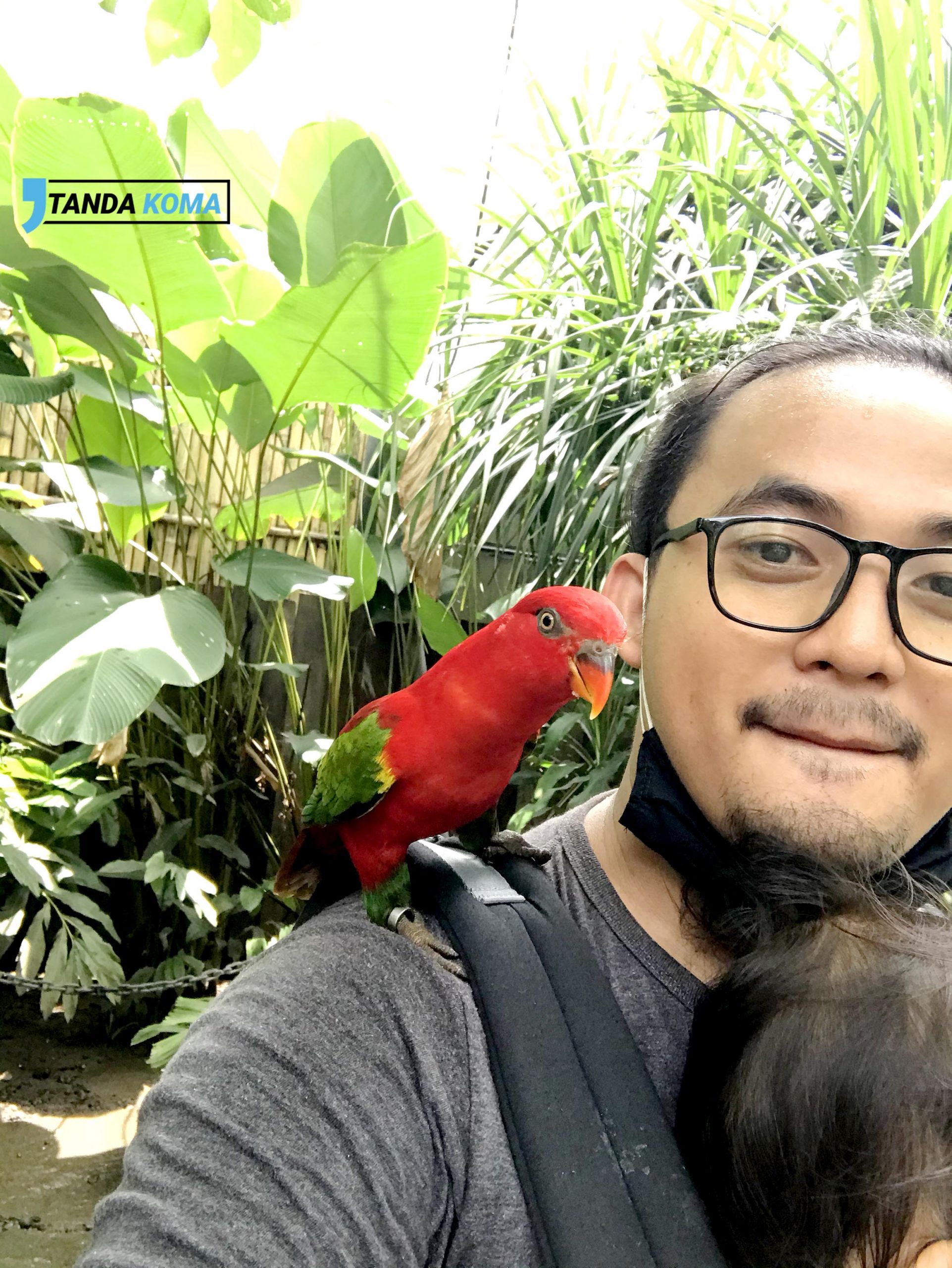Burung Nuri di Bali Bird Park