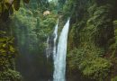Bali Waterfall
